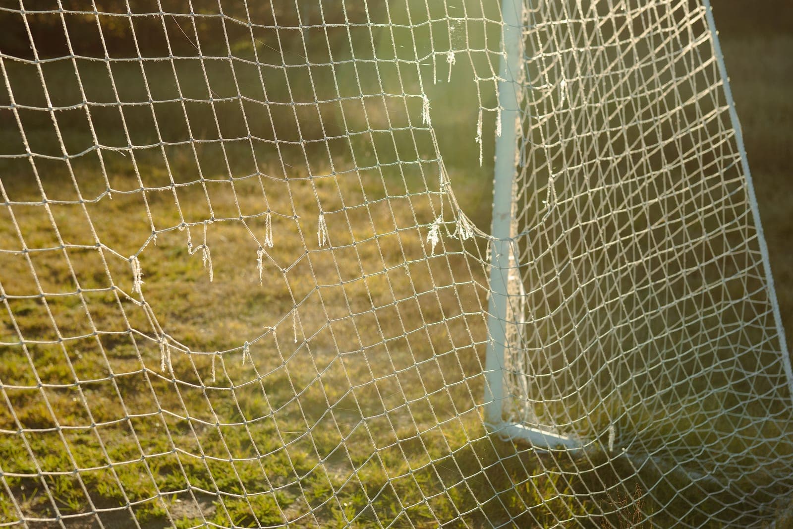 A backyard soccer goal on grass